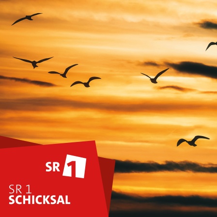 Eine Gruppe Vögel fliegt während eines leuchtend orange-gelben Sonnenuntergangs durch den Himmel. In der unteren linken Ecke befindet sich ein rotes Rechteck mit den weißen Aufschriften „SR 1“ und „Schicksal“, was möglicherweise auf eine Zusammenarbeit mit der Podcast Agentur hinweist.